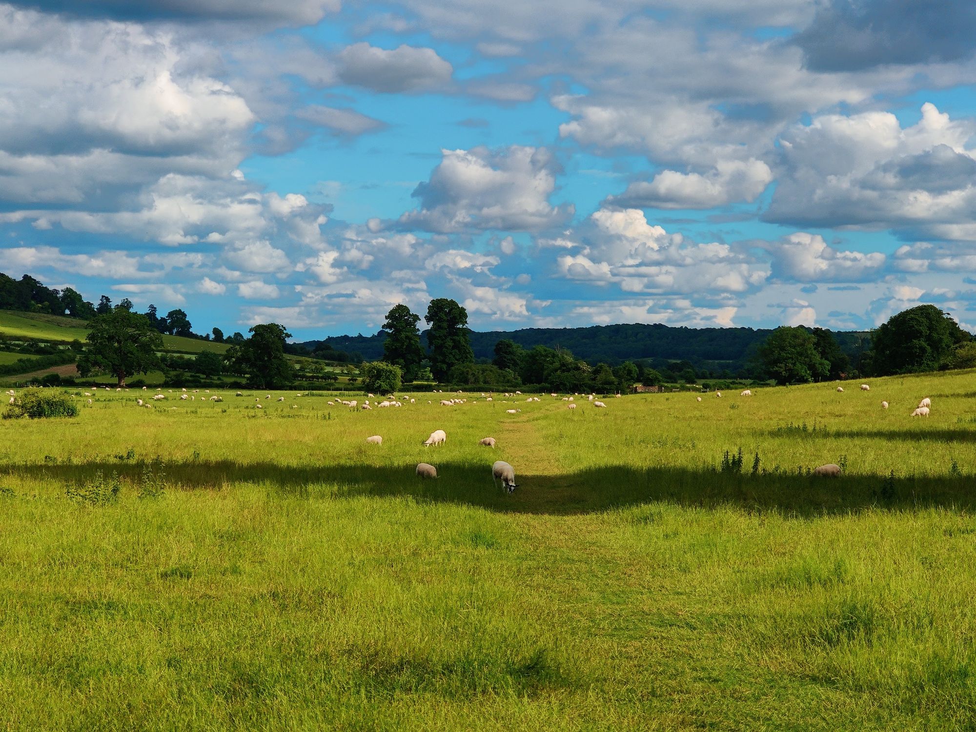 Hambledon: A Captivating Fairy Tale Village in the Heart of the UK Post Cover