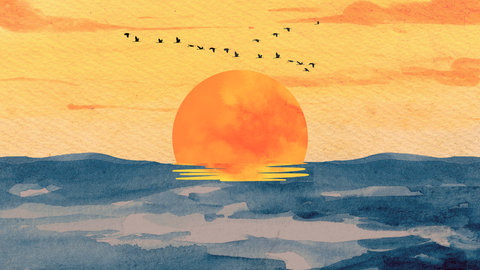 Digital Discovery Digest #1 Blog Cover Image