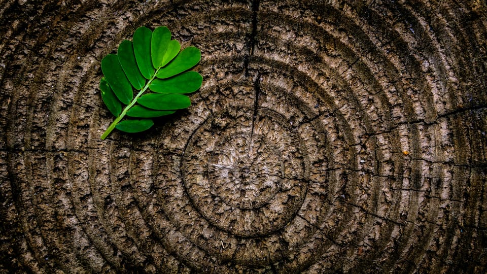 II - Daring to Change Blog Cover